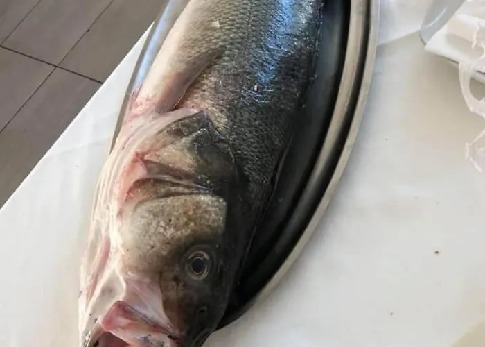 Apartament Garden-marina Sveva *